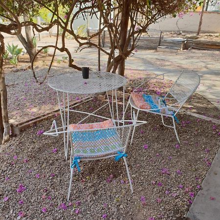 Oasis Shanti Backpackers Oudtshoorn Dış mekan fotoğraf