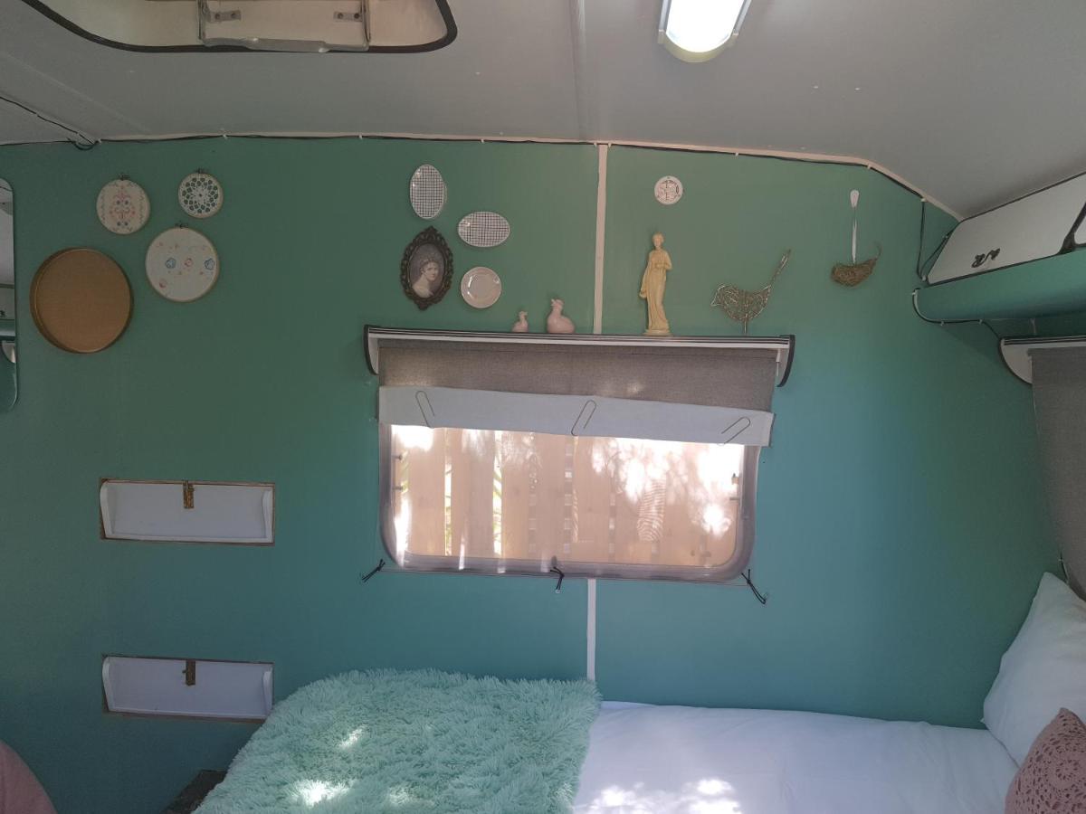 Oasis Shanti Backpackers Oudtshoorn Dış mekan fotoğraf