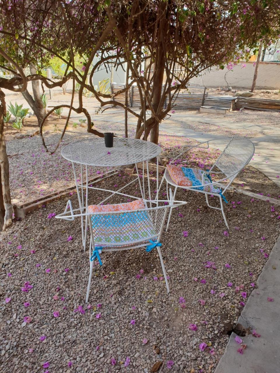 Oasis Shanti Backpackers Oudtshoorn Dış mekan fotoğraf